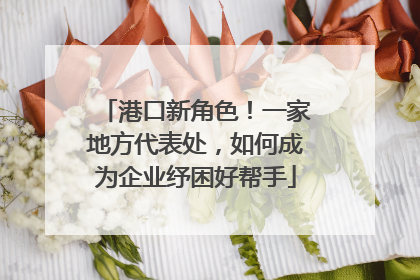 港口新角色！一家地方代表处，如何成为企业纾困好帮手